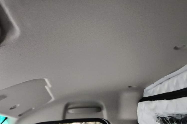 Used Farizon Xingxiang V 2025 Xingxiang V6E Xuanwu Wealth Creation Edition I
