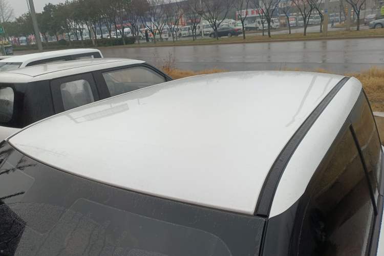 Used Qiyuan Lumin 2022 210km Sweet Edition
