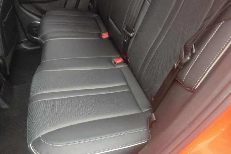 Used Tank 300 2024 2.0T Crosser
