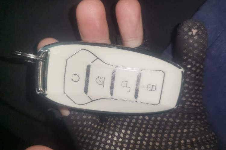 Used BYD Tang 2018 2.0T Automatic SmartConnect Prestige 5-Seater Emission Standard China V