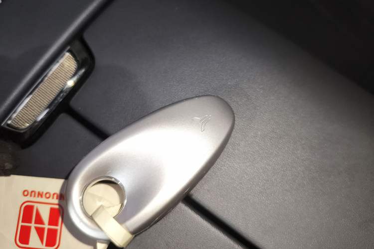 Used VOYAH COURAGE 2024 Four-Wheel Drive Global Edition