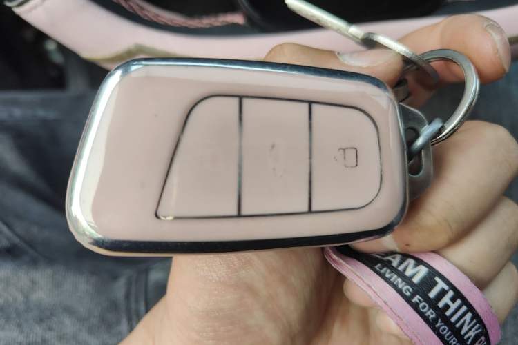 Used Chery QQ Little Ant 2024 Revised Version Youth Edition 251 km True Love Edition 25.05 kWh