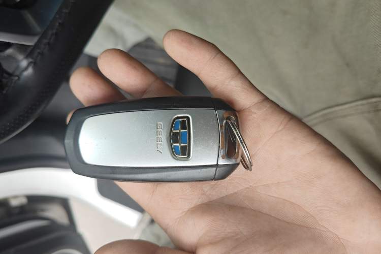 Used Geely Auto Emgrand New Energy 2018 EV450 Ambition Model