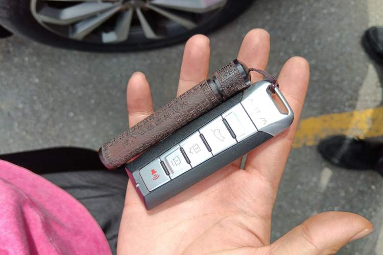 Used Wey VV6 2018 2.0T Two-Wheel-Drive Ultra-Luxury Version China V Standard
