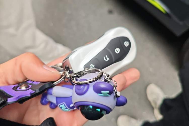 Used Geely Auto Monjaro S 2021 2.0TD Automatic Two-Wheel Drive Lightning Edition