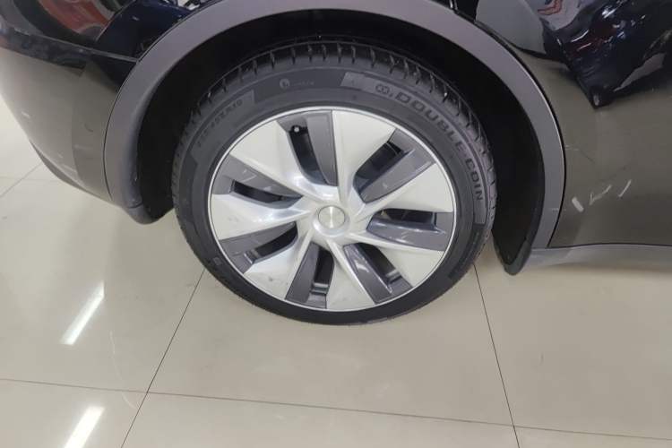 Used Tesla Model Y 2021 Standard Range Rear-Wheel Drive Version
