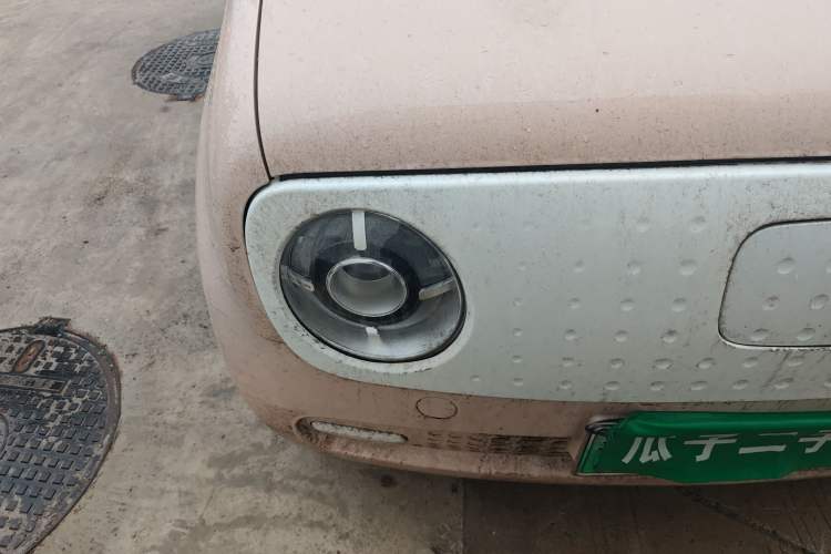 Used ORA Black Cat 2022 301km "Cute Pet" Version – Lithium Iron Phosphate Exterior 6