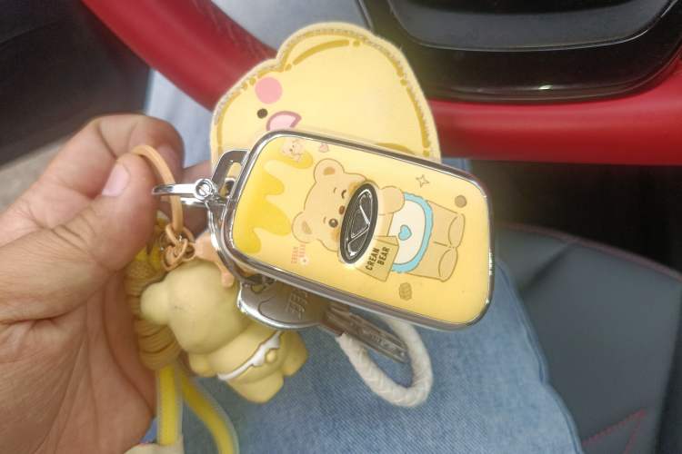 Used Chery Little Ant 2024 Edition Youth Version 251km True Love Edition 25.05 kWh