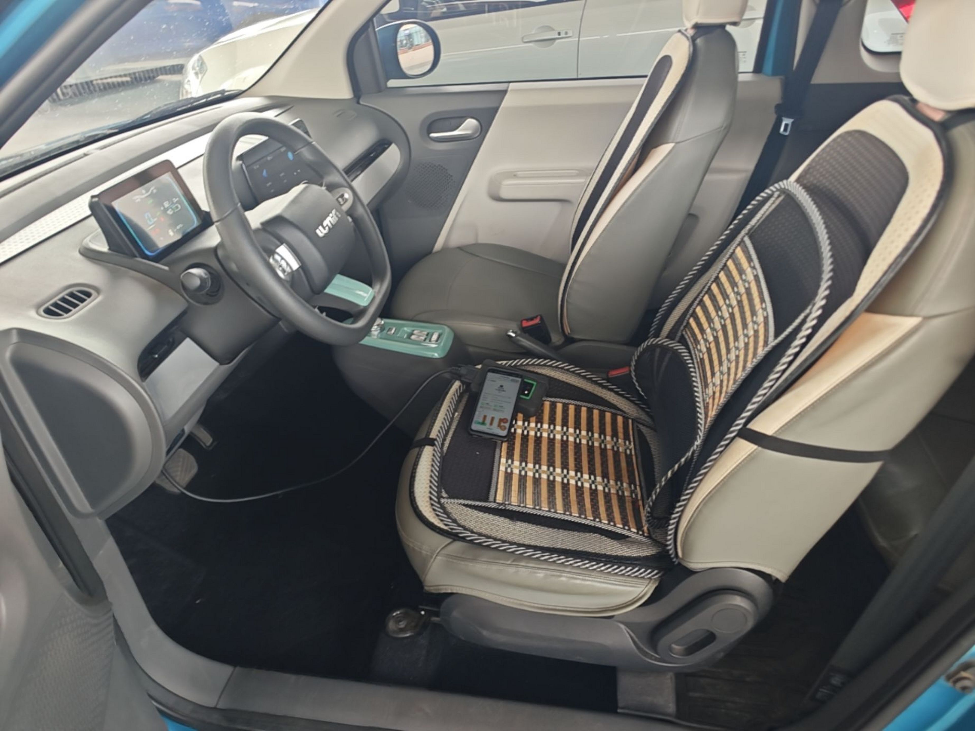 Interior delantero