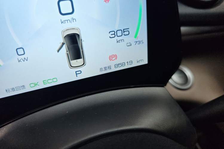 Used BYD Dolphin 2023 420 km Free Version Odometer Close Up