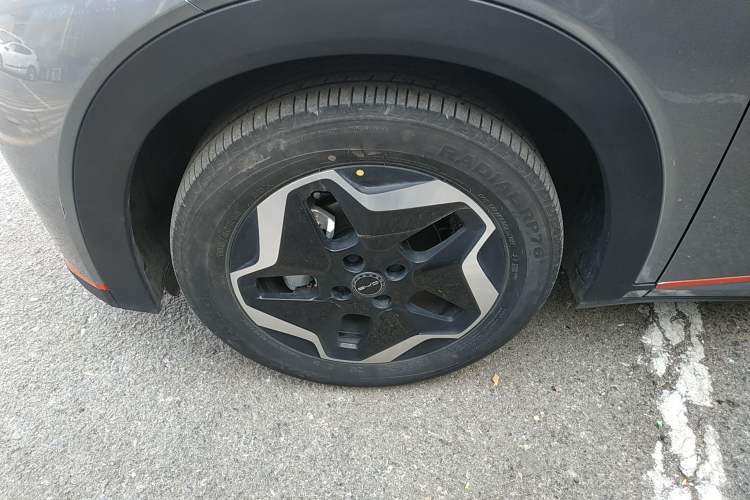 Used BYD Dolphin 2021 405 km Free Version