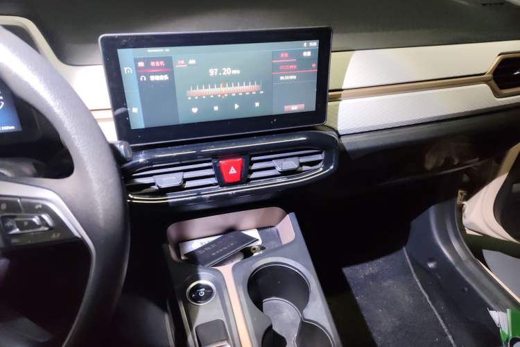 Used SOL E10X 2022 Flower Fairy Design Four-Leaf Clover
