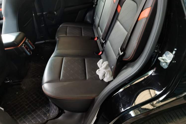 Used Haval DARGO 2024 2.0T DCT Chinese Rural Dog Edition
