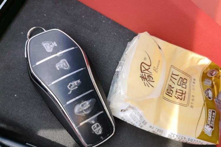 Used BYD Tang L 2025 DM 175KM Drone Player Edition Vehicle Key