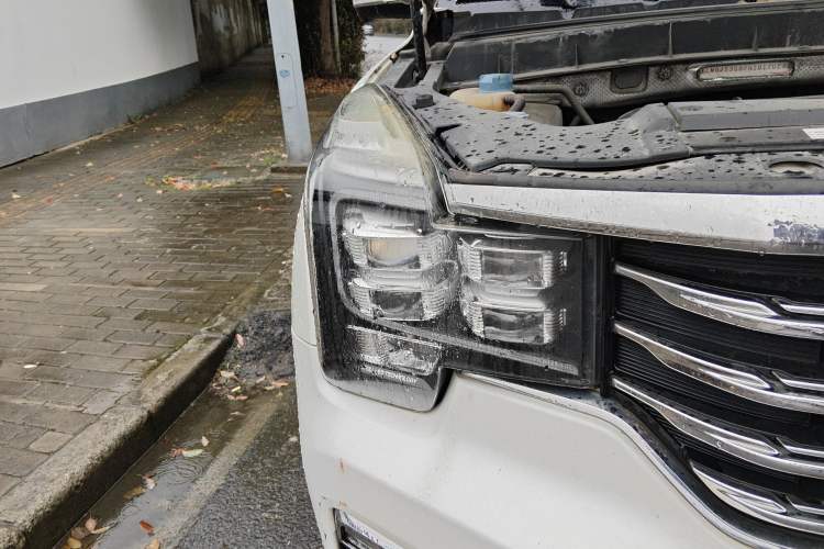 Used GAC Trumpchi GS8 2017 320T Four-Wheel Drive Luxury Smart Connectivity Version (7 Seats)