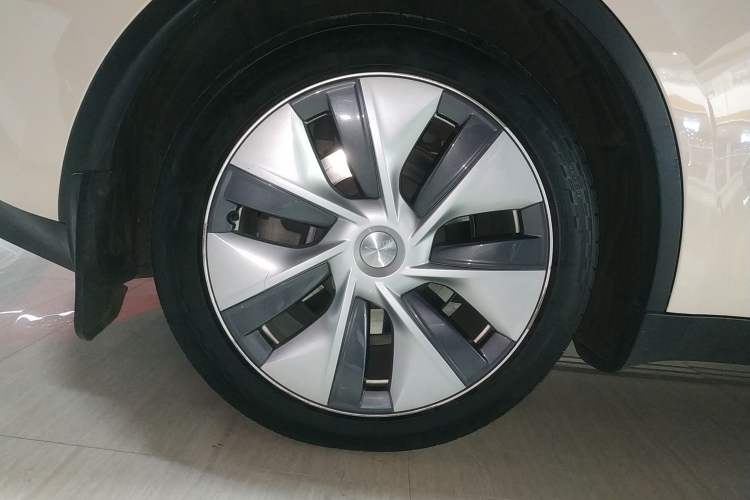 Used Tesla Model Y 2021 Standard Range Rear-Wheel Drive Version
