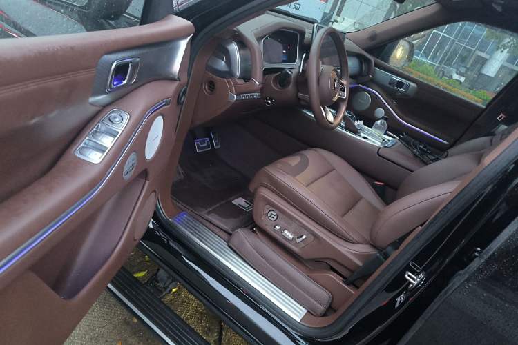 Used Tank 700 New Energy 2024 Hi4-T Extreme Edition Driver Seat