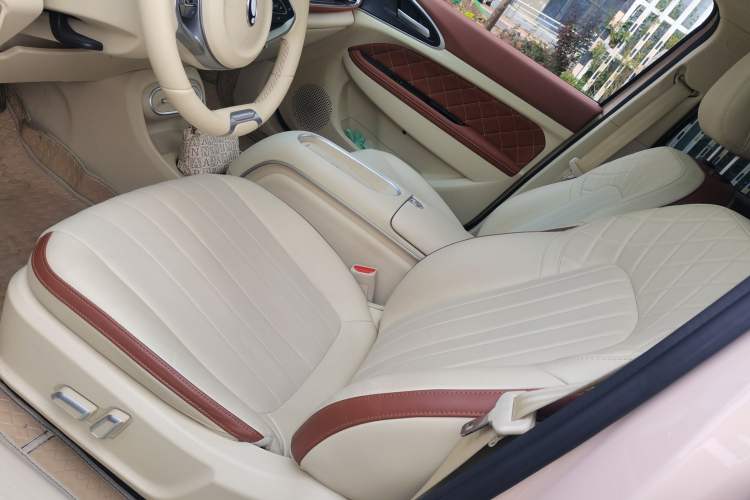 Used ORA Good Cat 2023 401 km Standard Range Luxury Version Ternary Lithium
