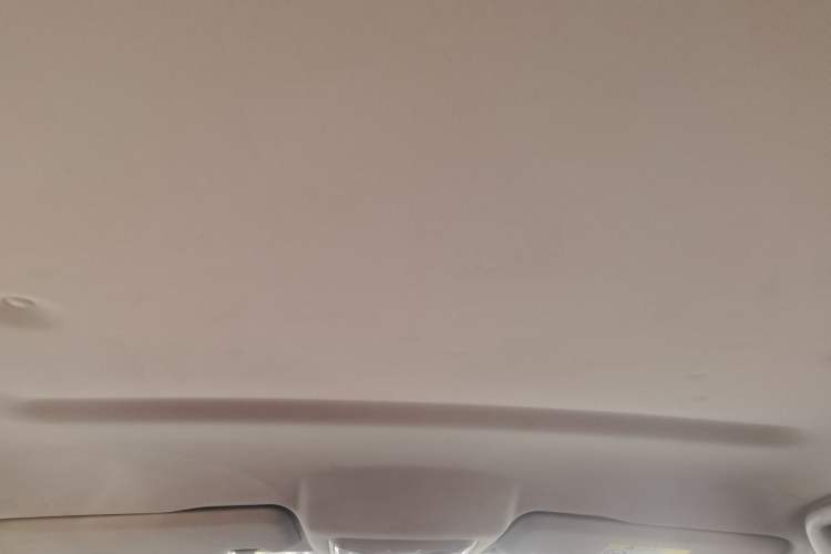 Used Great Wall Poer 2019 2.0T Commercial Version Manual Diesel 4x4 Elite Long-Box GW4D20M
