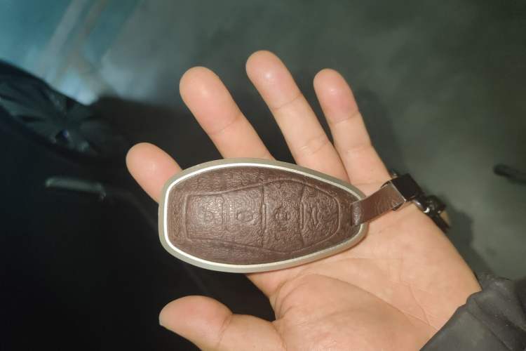 Used Hongqi H9 2025 2.0T Two-Wheel Drive Flagship Luxury Business Edition 5 Seats
