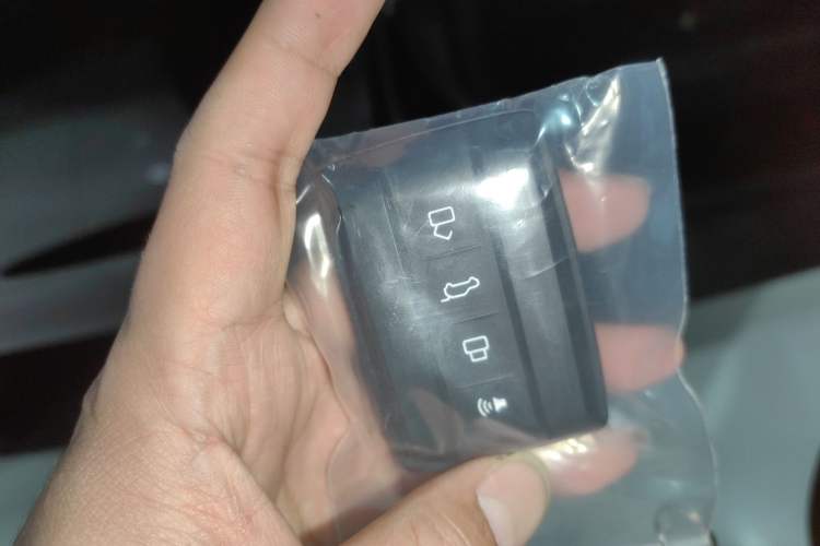 Used Tank 300 2024 2.0T Conqueror
