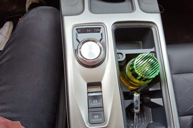 Used Haval DARGO 2024 2.0T DCT Chinese Rural Dog Edition