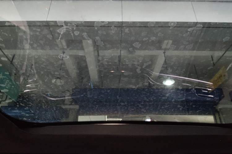 Used Ford Focus 2022 Hatchback EcoBoost 180 Automatic ST Line