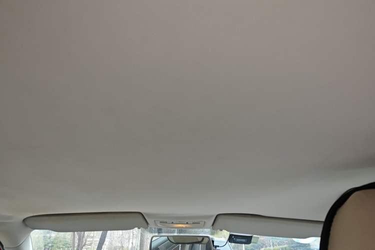 Used Volkswagen Bora 2011 1.6L Automatic Fashion Edition Headliner