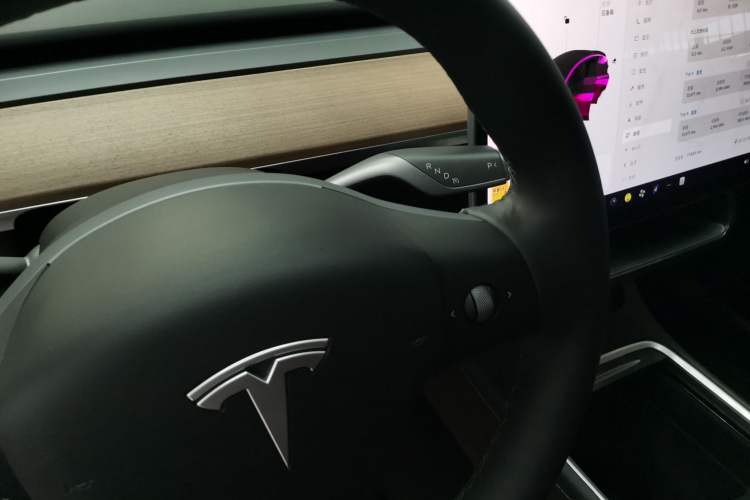 Used Tesla Model Y 2021 Standard Range Rear-Wheel Drive Version