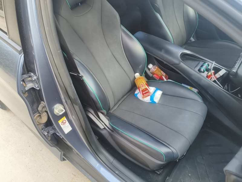 Used BYD Dolphin 2024 Honor Edition 420km Freedom Version — 24