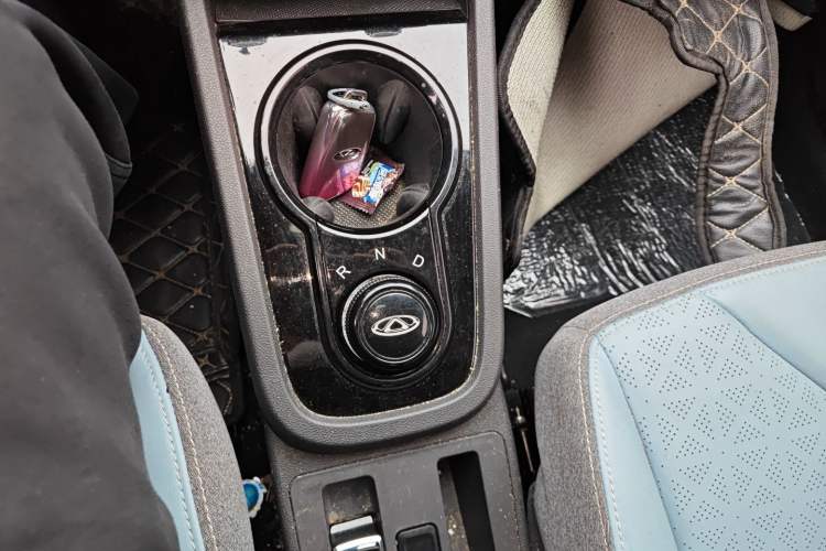 Used Chery Little Ant 2023 251km True Love Edition Lithium Iron Phosphate