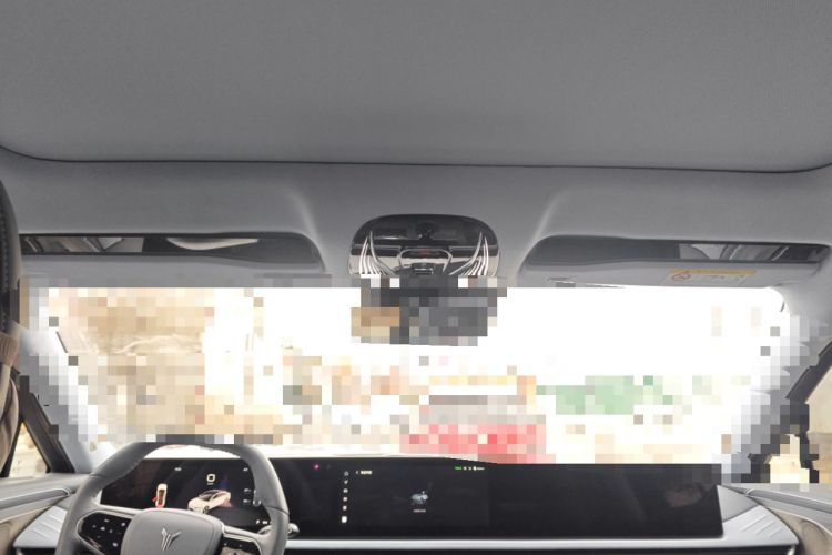 Used VOYAH PASSION 2023 Four-Wheel Drive Standard Edition Headliner