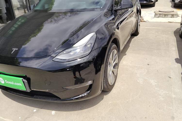 Used Tesla Model Y 2021 Standard Range Rear-Wheel Drive Version
