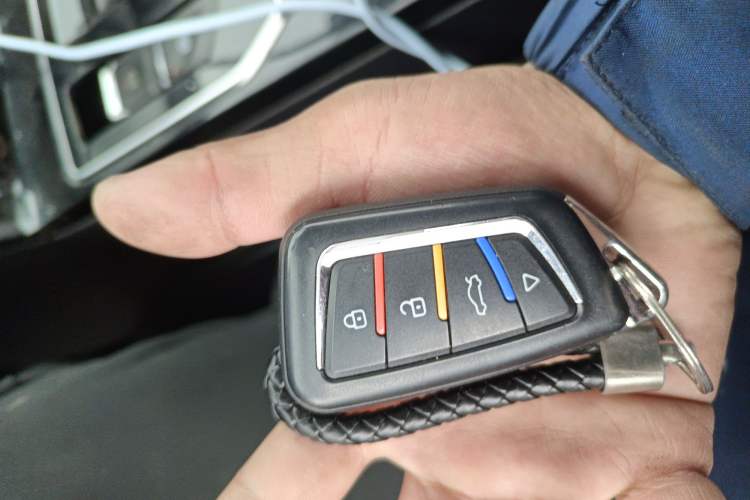 Used Venucia Venucia D60EV 2020 Standard Range T3