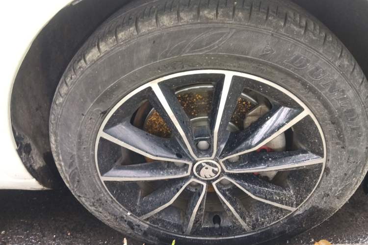 Used Skoda Octavia 2017 1.6L Automatic Smart Drive Edition
