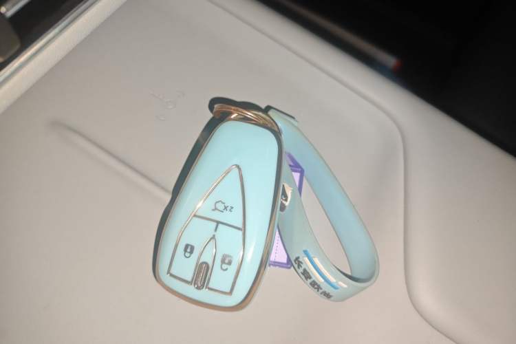 Used CHANGAN UNI-Z New Energy 2024 Blue Whale Smart Electric iDD 125km Leading Model
