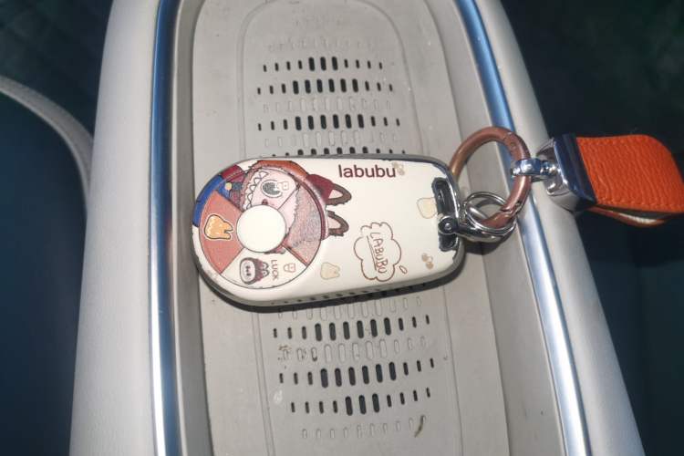 Used ORA Good Cat 2023 401 km Standard Range Luxury Version Lithium Iron Phosphate
