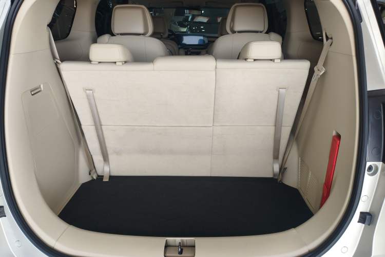 Used Buick GL8 2022 ES Landtrek 653T Luxury Edition