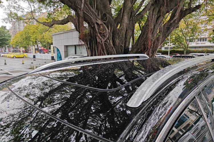 Used Ford Edge 2022 PLUS EcoBoost 245 Four-Wheel Drive Platinum Edition 7-Seater
