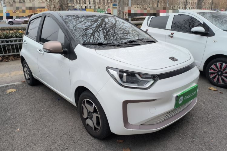 Used SOL E10X 2022 Flower Fairy Style Baby's Breath
