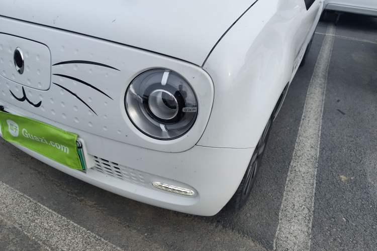 Used ORA Black Cat 2021 351 km Standard Version Left Front Headlight