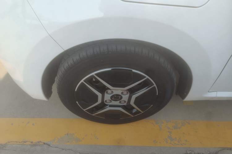 Used SOL E10X 2022 Flower Fairy Design Four-Leaf Clover