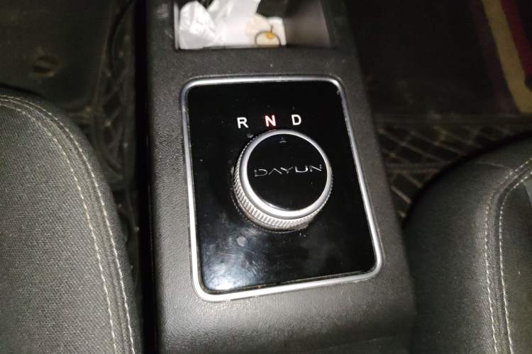 Used Dayun Yuehu 2022 300 Standard Edition
