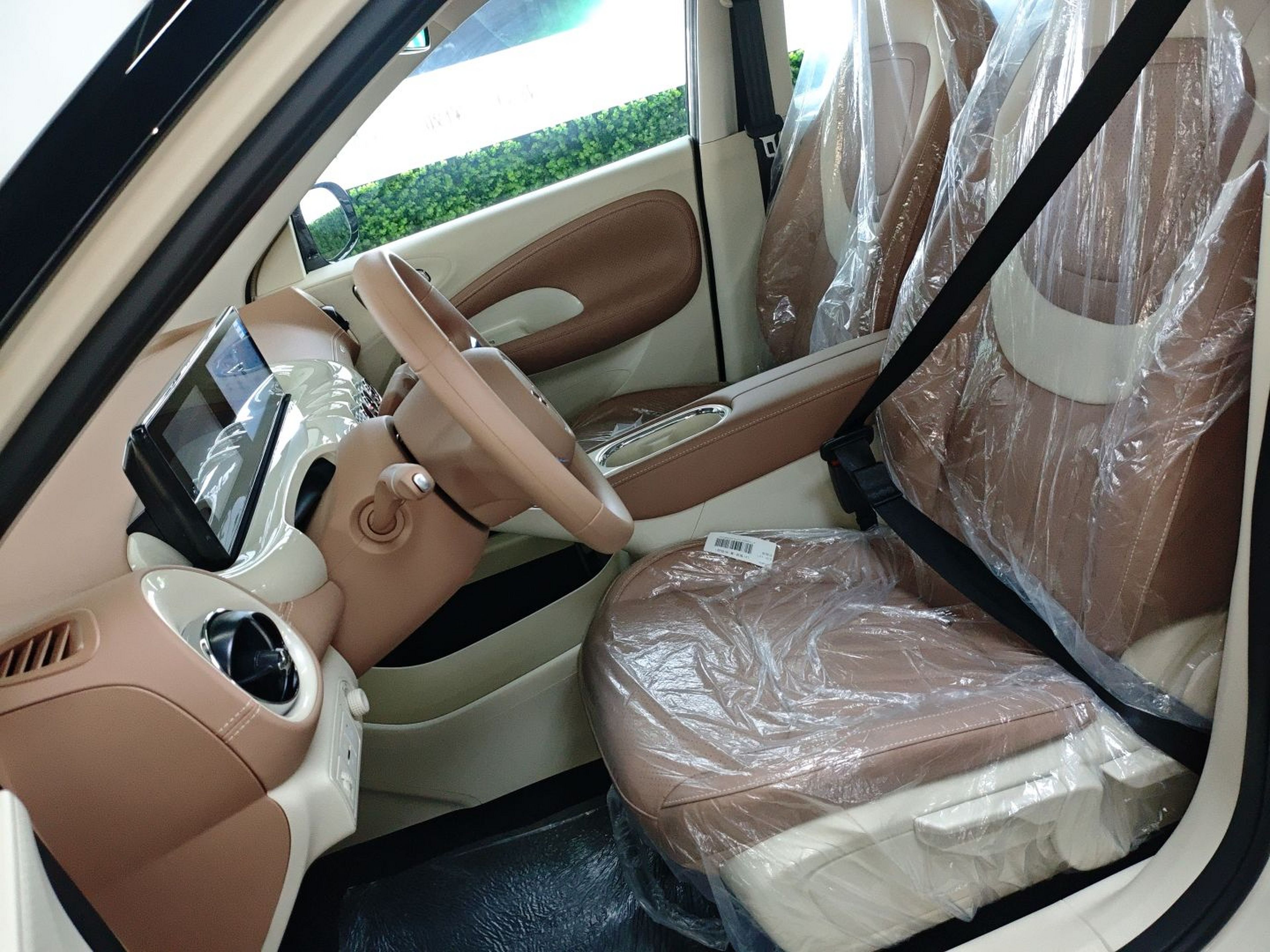 Interior delantero