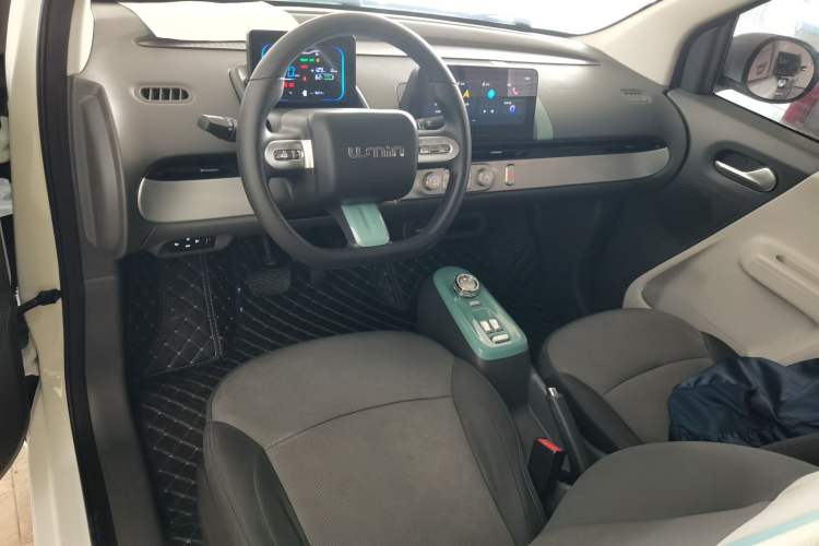 Used Qiyuan Lumin 2022 210km Sweet Edition
