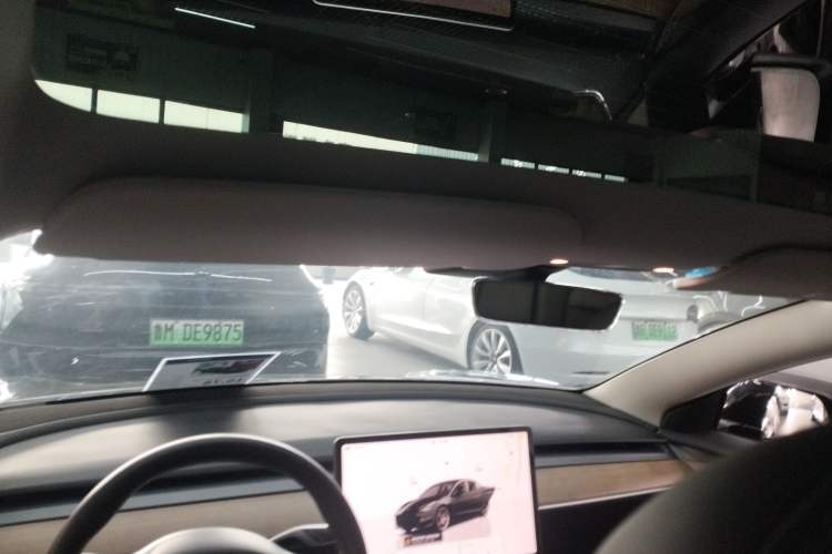 Used Tesla Model 3 2022 Performance High-Performance All-Wheel-Drive Version Headliner