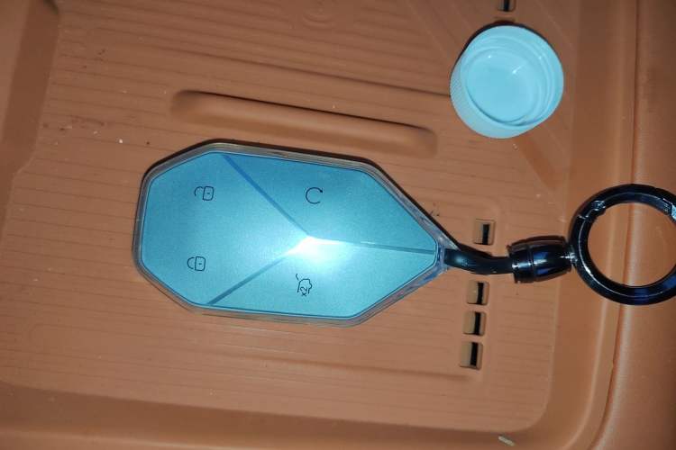 Used Formula Leopard Tai 7 2025 Model 190 km Four-Wheel Drive Ultra Edition