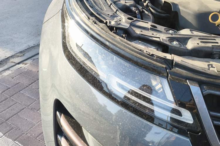 Used Land Rover Range Evoque 2020 249 PS R-DYNAMIC SE Sport Technology Edition
