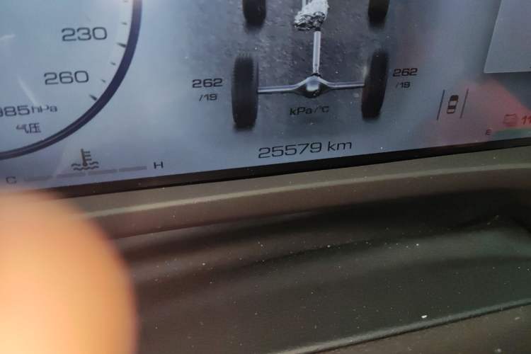 Used Tank 500 New Energy 2024 Hi4-T Odometer Close Up