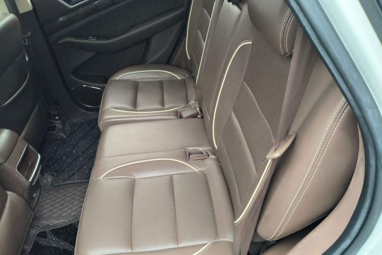 Used Leopaard CS10 2017 2.0T Automatic Urban Version